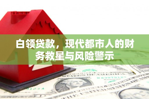 新蔡白领贷款，现代都市人的财务救星与风险警示
