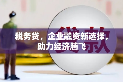 新蔡税务贷，企业融资新选择，助力经济腾飞