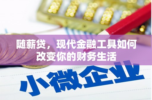新蔡随薪贷，现代金融工具如何改变你的财务生活