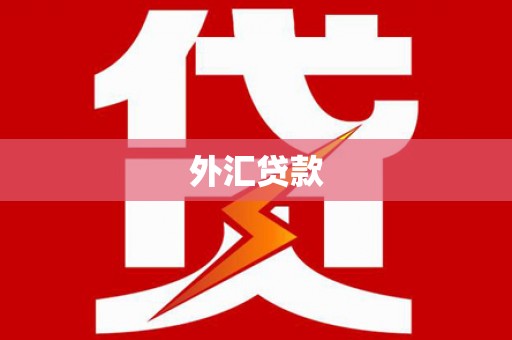 新蔡外汇贷款