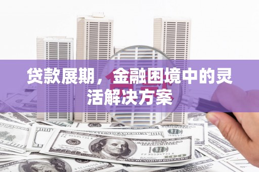 新蔡贷款展期，金融困境中的灵活解决方案