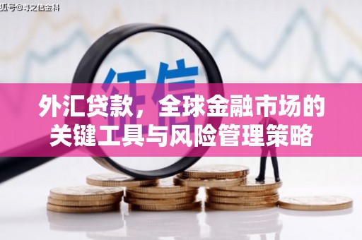 新蔡外汇贷款，全球金融市场的关键工具与风险管理策略