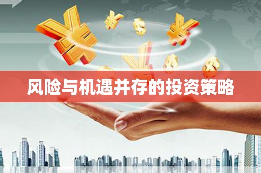 新蔡风险与机遇并存的投资策略