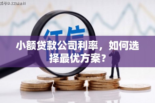 新蔡小额贷款公司利率，如何选择最优方案？