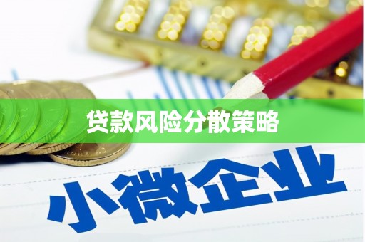 新蔡贷款风险分散策略