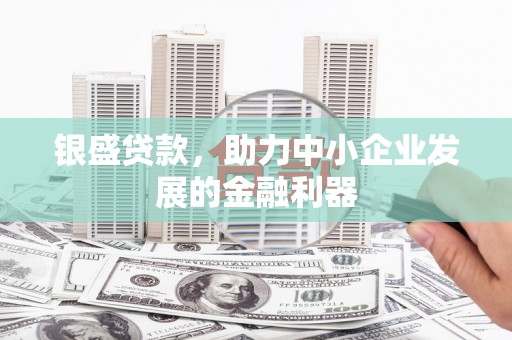 新蔡银盛贷款，助力中小企业发展的金融利器