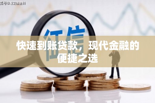 新蔡快速到账贷款，现代金融的便捷之选