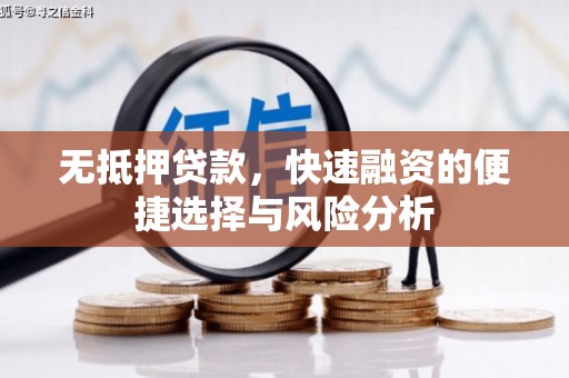 新蔡无抵押贷款，快速融资的便捷选择与风险分析
