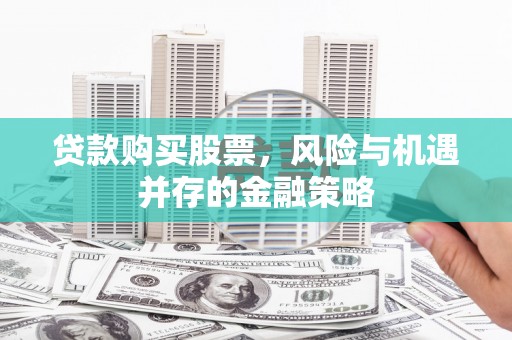 新蔡贷款购买股票，风险与机遇并存的金融策略