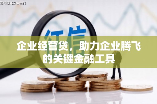 新蔡企业经营贷，助力企业腾飞的关键金融工具