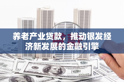 新蔡养老产业贷款，推动银发经济新发展的金融引擎