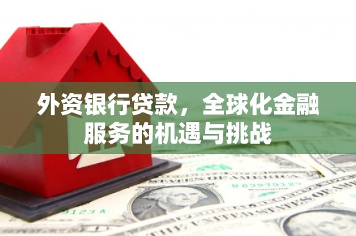 新蔡外资银行贷款，全球化金融服务的机遇与挑战