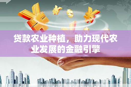 新蔡贷款农业种植，助力现代农业发展的金融引擎