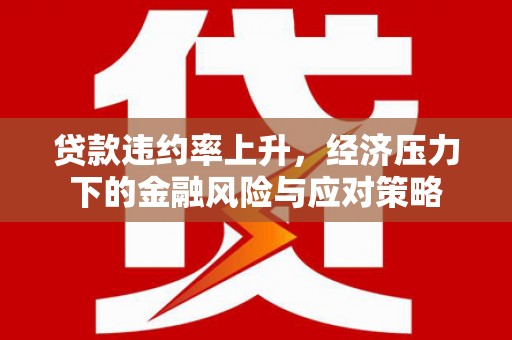 新蔡贷款违约率上升，经济压力下的金融风险与应对策略