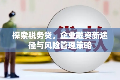 新蔡探索税务贷，企业融资新途径与风险管理策略