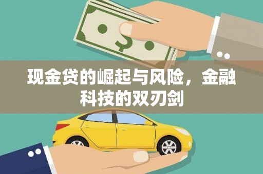 新蔡现金贷的崛起与风险，金融科技的双刃剑