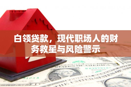 新蔡白领贷款，现代职场人的财务救星与风险警示