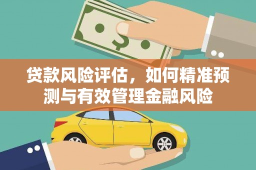新蔡贷款风险评估，如何精准预测与有效管理金融风险