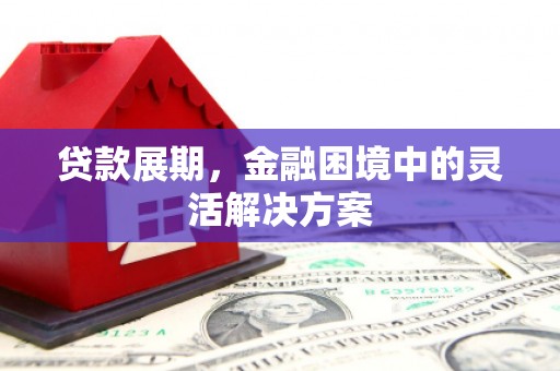 新蔡贷款展期，金融困境中的灵活解决方案