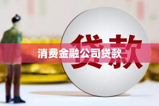 新蔡消费金融公司贷款