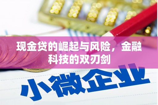 新蔡现金贷的崛起与风险，金融科技的双刃剑