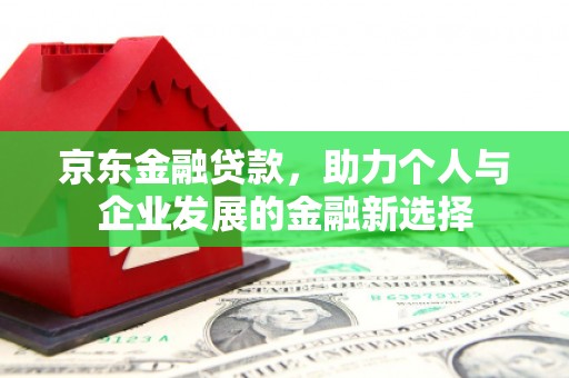 新蔡京东金融贷款，助力个人与企业发展的金融新选择