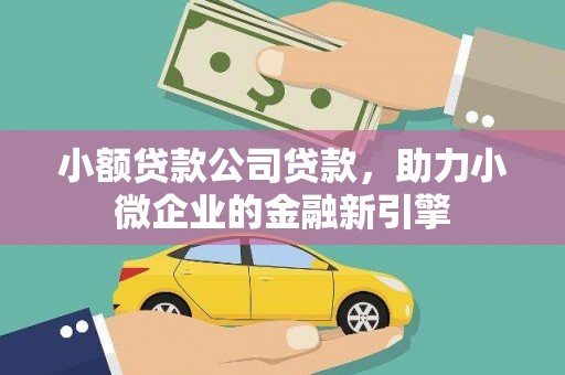 新蔡小额贷款公司贷款，助力小微企业的金融新引擎