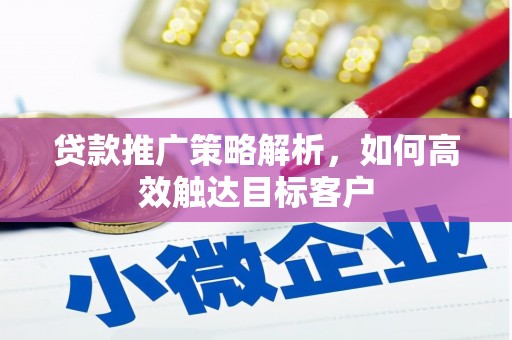 新蔡贷款推广策略解析，如何高效触达目标客户