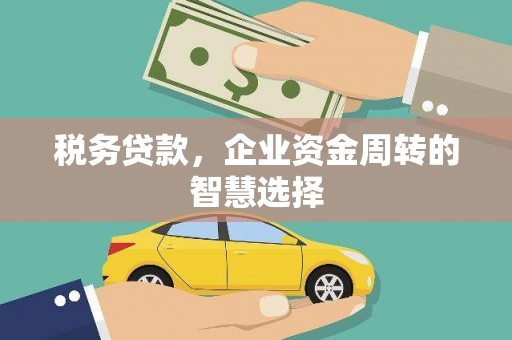 新蔡税务贷款，企业资金周转的智慧选择