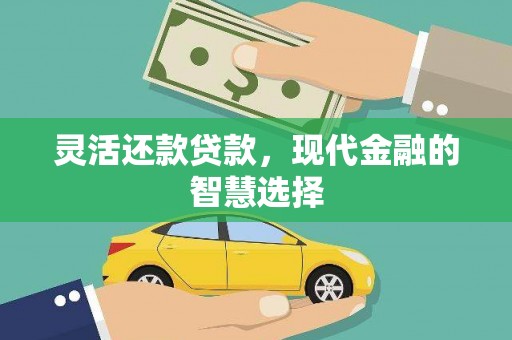 新蔡灵活还款贷款，现代金融的智慧选择