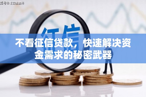 新蔡不看征信贷款，快速解决资金需求的秘密武器