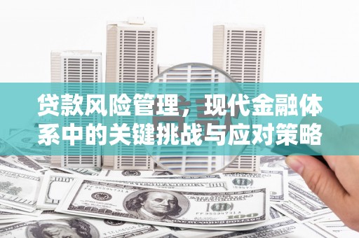 新蔡贷款风险管理，现代金融体系中的关键挑战与应对策略