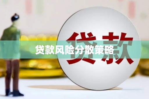 新蔡贷款风险分散策略