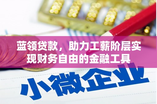 新蔡蓝领贷款，助力工薪阶层实现财务自由的金融工具