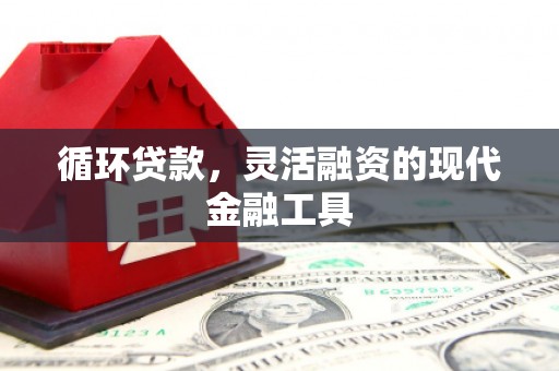 新蔡循环贷款，灵活融资的现代金融工具
