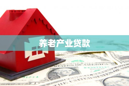 新蔡养老产业贷款