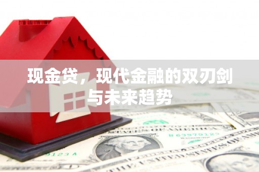 新蔡现金贷，现代金融的双刃剑与未来趋势
