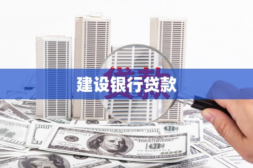 新蔡建设银行贷款
