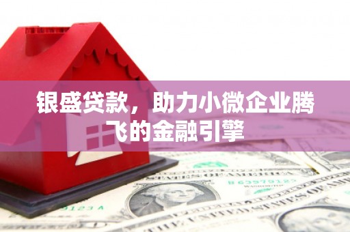 新蔡银盛贷款，助力小微企业腾飞的金融引擎