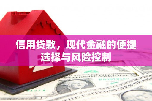 新蔡信用贷款，现代金融的便捷选择与风险控制