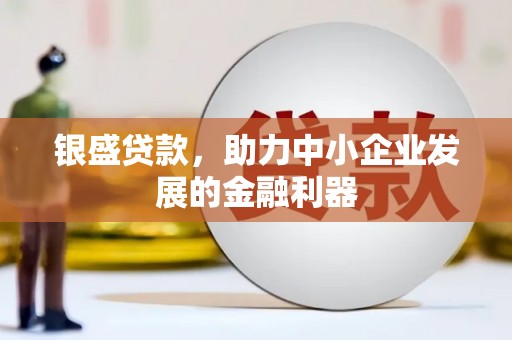 新蔡银盛贷款，助力中小企业发展的金融利器