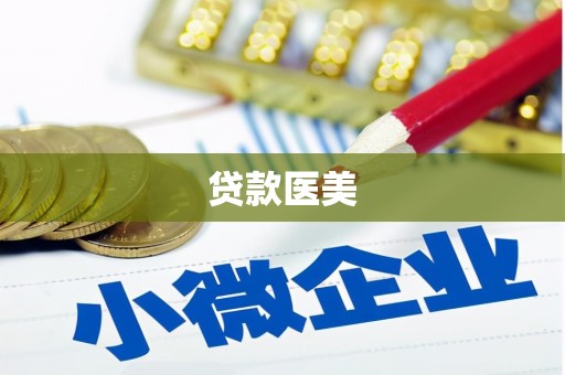 新蔡贷款医美