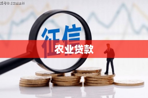 新蔡农业贷款