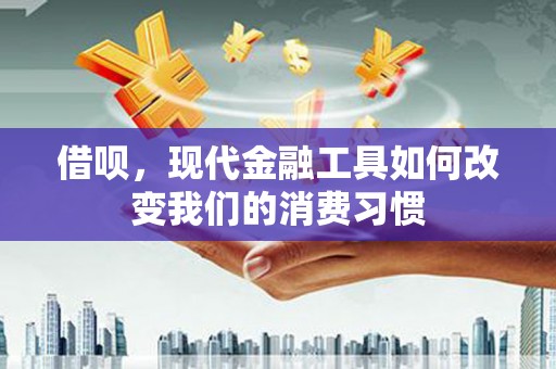 新蔡借呗，现代金融工具如何改变我们的消费习惯