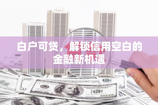 新蔡白户可贷，解锁信用空白的金融新机遇