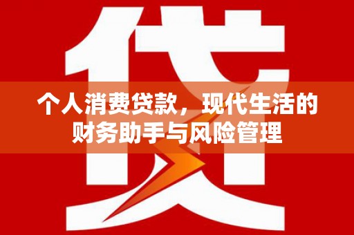 新蔡个人消费贷款，现代生活的财务助手与风险管理