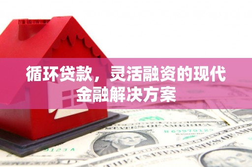 新蔡循环贷款，灵活融资的现代金融解决方案