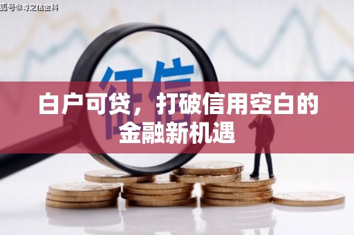 新蔡白户可贷，打破信用空白的金融新机遇