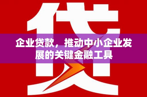 新蔡企业贷款，推动中小企业发展的关键金融工具