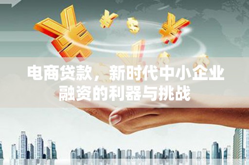 新蔡电商贷款，新时代中小企业融资的利器与挑战